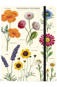 cuaderno flores silvestres grande 15x20 cm cavallini-9781635447354