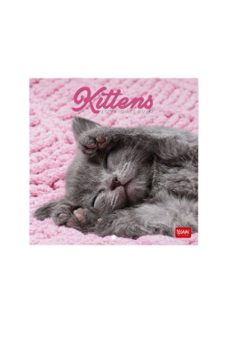 calendario 2027 pared 18x18 kittens legami-8052694130794