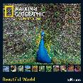 calendario 2014 ng beautiful world 30x30cm-9783832766900 calendario 2014 ng beautiful world 30x30cm-9783832766900
