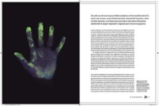 el cuerpo humano (edicion ilustrada)-bill bryson-9788491875949