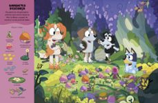 on són la bluey i la bingo? (edició en català)-9788448871000