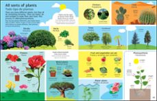 1000 palabras: naturaleza/ 100 words: nature-9780241583418