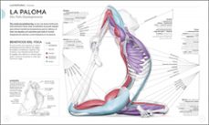 anatomia del yoga-9780241414729