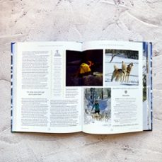 Imagen Secuandaria de LOS MEJORES LUGARES PARA ESQUIAR Y DISFRUTAR DE LA NIEVE (LONELY PLANET). Abrir galería completa.