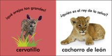 toca y aprende: pequeños animales-9780241637753