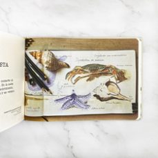 cuaderno de campo-clara cerviño-9788408291961