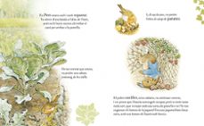 el conte d en pere el conillet. 120 aniversari-beatrix potter-9788448861865