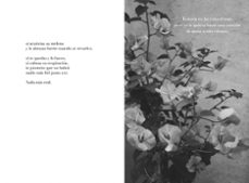 cada noche te escribo-patricia benito-9788403522367
