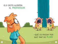 Pack Aprendre a llegir a l'Escola de Monstres (Llibres 1-3), 9788419357496, Rippin, Sally, , Llibreria online en català