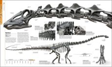 dinosaurios y vida prehistorica-9780241470282