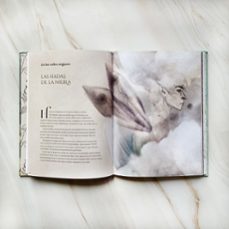 la vida secreta de las hadas-sofia rhei-ana santos-9788419875082