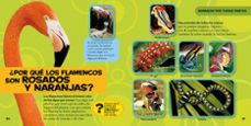 mi primer gran libro de los ¿por que?-amy shields-9788482985688