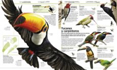 animales: el reino animal como nunca antes lo habias visto con increibles ilustraciones 3d-9780241300992