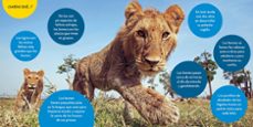 supercuriosos leones-margie markarian-9788482988597