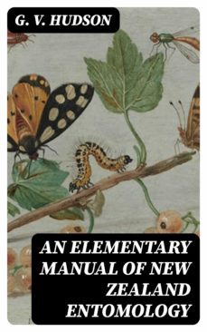 an elementary manual of new zealand entomology (ebook)-8596547305804