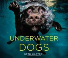 underwater dogs-9780316227704