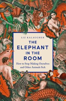 the elephant in the room (ebook)-liz kalaugher-9781837731404