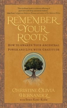 remember your roots-christine olivia hernandez-9781837821204