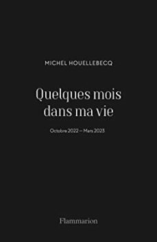 quelques mois dans ma vie-9782080435804