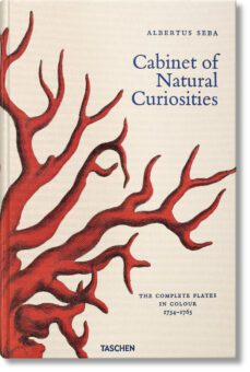 cabinet of natural curiosities-albertus seba-9783822816004