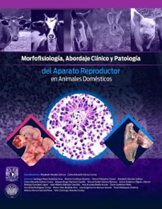 morfofisiologia, abordaje clinico y patologia del aparato reproductor en animales domesticos (ebook)-elizabeth morales salinas-carlos eduardo gálvez correa-9786075870304