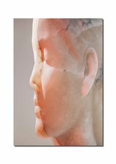 jaume plensa: inner matter / materia interior-jaume plensa-9788410290204