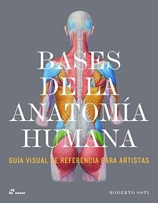 bases de la anatomía humana. guía visual de referencia para artistas-roberto osti-9788410651104