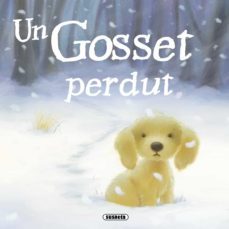 un gosset perdut-linda jennings-9788467715804
