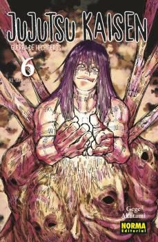 jujutsu kaisen 6-gege akutami-9788467944204