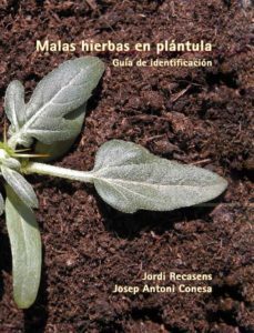 malas hierbas en plantula (guia de identificacion)-9788484092704