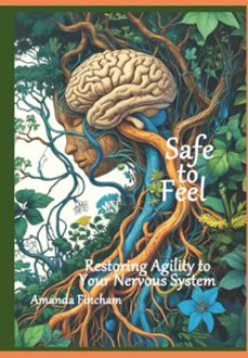 safe to feel (ebook)-amanda fincham-9798291141304
