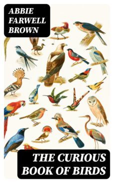 the curious book of birds (ebook)-abbie farwell brown-8596547363514