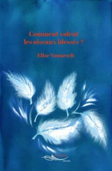 comment volent les oiseaux blesses ? (ebook)-9782889493814