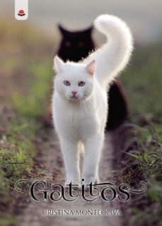 gatitos-cristina monteoliva-9788413177014