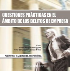 cuestiones practicas en el ambito de los delitos de empresa (ebook)-silvina bacigalupo-9788415179214