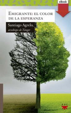 emigrante: el color de la esperanza (ebook)-santiago agrelo-9788428829014