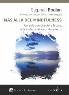 mas alla del mindfulness. un enfoque directo a la paz, la felicidad y el amor duraderos (ebook)-9788433038814