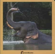 animales salvajes (ed. carton)-9788494295614