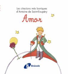 amor (petit princep)-antoine de saint exupery-9788499061214