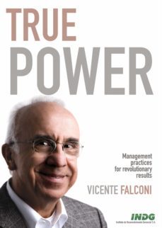 true power (ebook)-vicente falconi campos-9788598254814