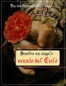 sembra un angelo venuto dal cielo (ebook)-9788822813114