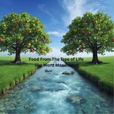 -organization of information-gregory gould-9798233005114