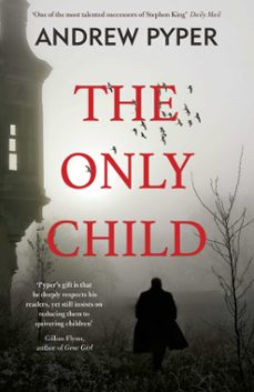 the only child (ebook)-andrew pyper-9781409149224