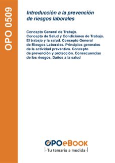 introduccion a la prevencion de riesgos laborales. (ebook)-9781524317324