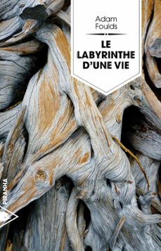 le labyrinthe d'une vie (ebook)-adam foulds-9782371191624
