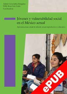 jóvenes y vulnerabilidad social en el méxico actual (ebook)-nelly rosa caro lujan-9786078836024