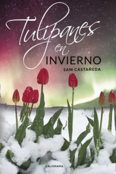 (i.b.d.) tulipanes en invierno-sam castañeda-9788417382124