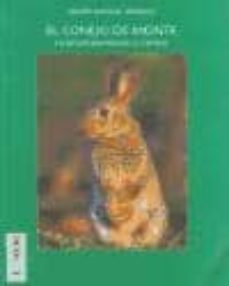 el conejo de monte-serafin mayoral marquez-9788461208524
