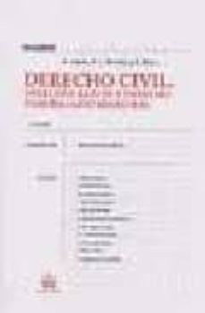 derecho civil: derechos reales y derecho inmobiliario registral ( 2ª ed.)-vicente luis montes penades-9788484424024