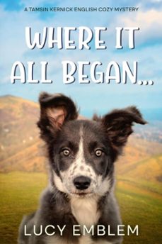 where it all began ... (ebook)-lucy emblem-9798232809324